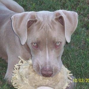 Meet your Posher, Sandy